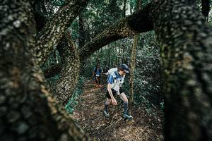 BIB: 
                            <button type="button" onclick="openModal(25392065)" class="btn btn-primary btn-sm float-right btn-popup" data-toggle="modal" data-target=".modal-high-quality">
                        <i class="fas fa-shopping-cart"></i> Add to Cart
                    </button>
                                            <button type="button" onclick="isThisMe(25392065, true)" class="btn btn-success btn-sm float-right btn-popup btn-isme hidden" data-toggle="tooltip" data-placement="bottom" title="นี่คือรูปของคุณใช่ไหม คลิกที่นี่เพื่อเอาเข้าอัลบั้ม">
                        <i class="fas fa-plus"></i> Add to album
                    </button>
                    <button type="button" onclick="isThisMe(25392065, false)" class="btn btn-warning btn-sm float-right btn-popup btn-isnotme hidden">
                        <i class="fas fa-ban"></i> Remove from album
                    </button>